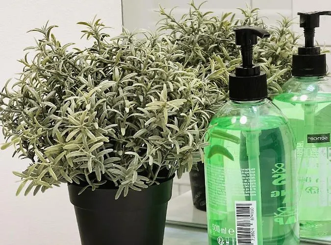 Apartment Saint Jacques, La *